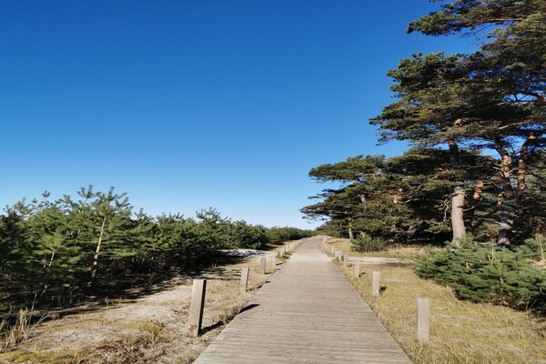 Foto van Prachtig vakantieappartement in Lubmin met uitzicht op Rügen - AreaSummer1KM