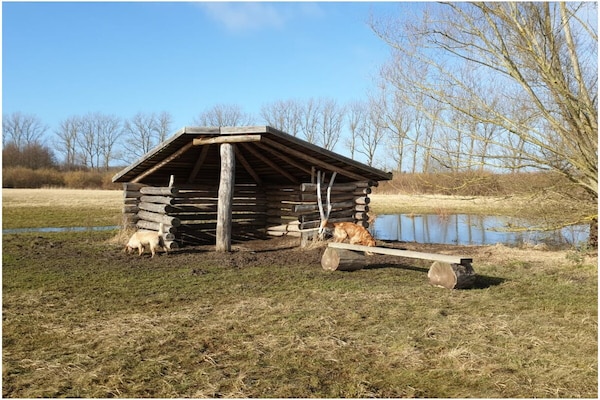Foto van Vakantiehuis in  - Vakantiehuis in  - Untagged