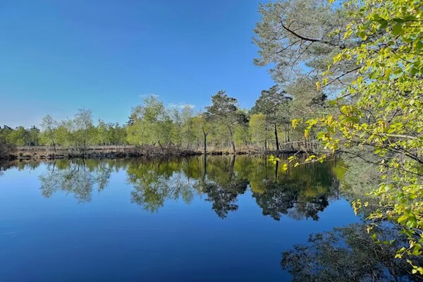 Foto van Duinhuis in Dierhagen - Vakantiehuis in Dierhagen - AreaSummer1KM