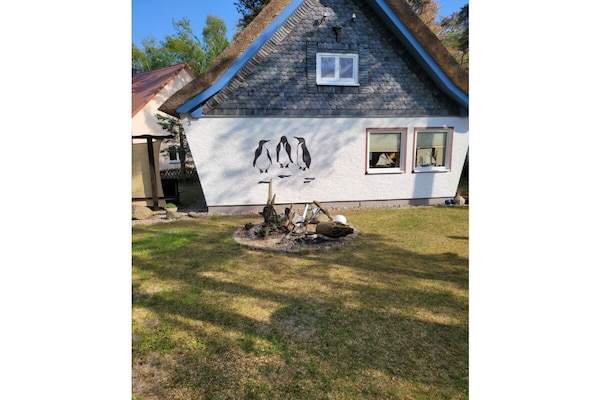 Foto van Vakantiehuis in  - Vakantiehuis in  - Untagged