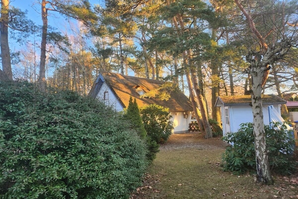 Foto van Vakantiehuis in  - Vakantiehuis in  - Untagged