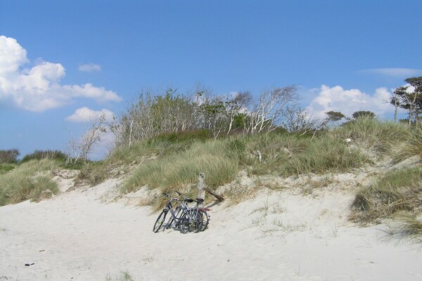 Foto van Appartement Seezeichen in de badplaats Prerow aan de Oostzee. - Untagged