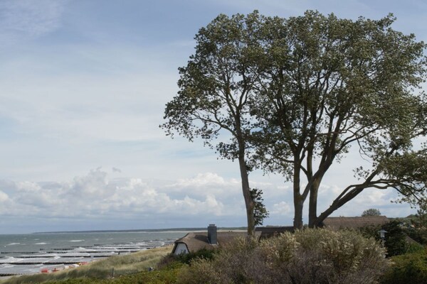 Foto van Vakantiehuis in  - Vakantiehuis in  - Untagged