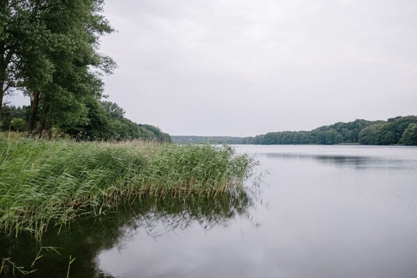 Foto van Boskop & Clapps - Vakantiehuis in Crivitz - Untagged