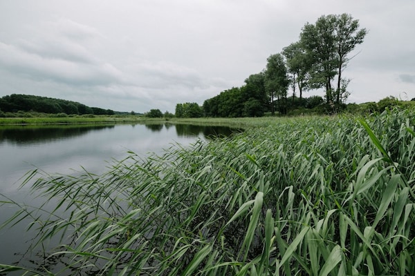 Foto van Boskop & Clapps - Vakantiehuis in Crivitz - Untagged