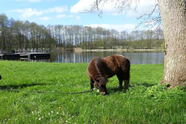 Foto van Chalet in Wendorf - Vakantiehuis in Wendorf - AreaSummer1KM