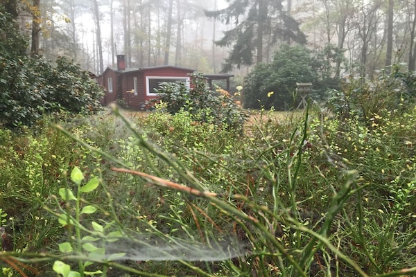 Foto van Bungalow in Nordheide met 1 slaapkamer - Vakantiehuis in Buchholz in der Nordheide - Untagged