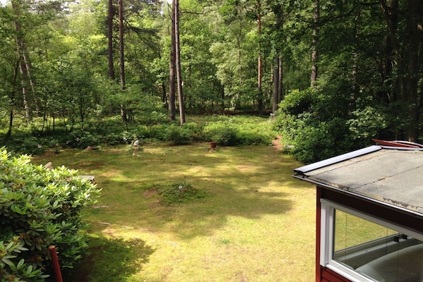 Foto van Bungalow in Nordheide met 1 slaapkamer - Vakantiehuis in Buchholz in der Nordheide - Untagged