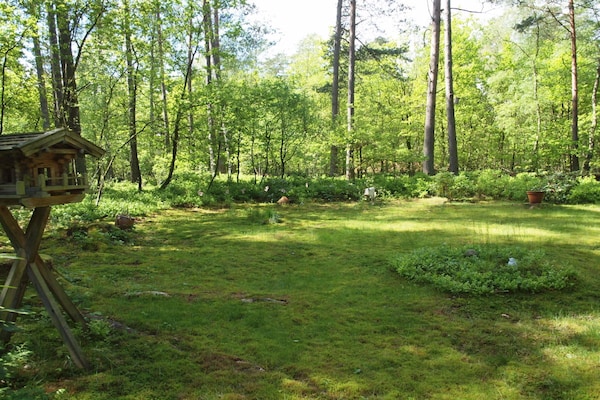 Foto van Bungalow in Nordheide met 1 slaapkamer - Vakantiehuis in Buchholz in der Nordheide - Untagged