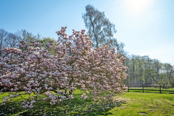 Foto van Vakantiehuis in  - Vakantiehuis in  - Untagged