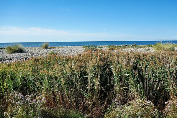 Foto van Exclusief appartement op Fehmarn - Vakantiehuis in Petersdorf - AreaSummer5KM