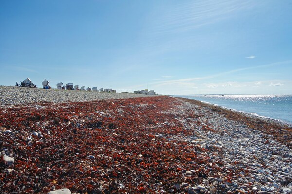 Foto van Exclusief appartement op Fehmarn - Vakantiehuis in Petersdorf - AreaSummer5KM