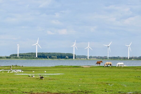 Foto van 2-slaapkamer woonboot - Vakantiehuis in Fehmarn \/ Burgtiefe - Untagged