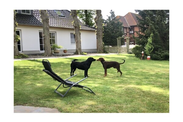Foto van Vakantiehuis in  - Vakantiehuis in  - Untagged