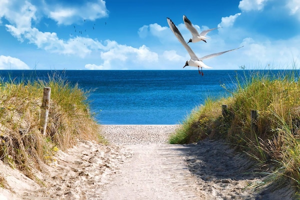 Foto van Baltische Natuurontsnapping voor 6 - Vakantiehuis in Großenbrode - AreaSummer5KM