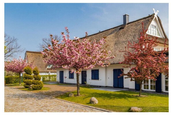 Foto van DUXCAAR / La Mer Comfortabele vakantiewoning - Vakantiehuis in Groß Schwansee - ExteriorSummer