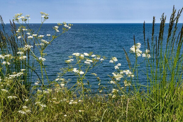 Foto van Baltische Zee geluk Barendorf - Vakantiehuis in Barendorf (bei Harkensee) - Untagged