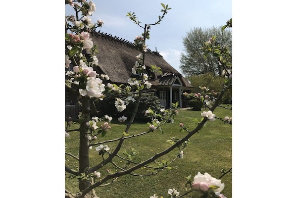 Foto van Brodersen Landhuis - Vakantiehuis in Rosenfeld\/Rastorf - Untagged