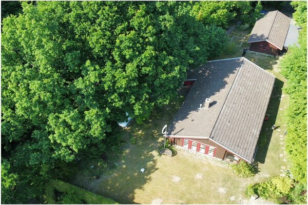 Foto van Bos en strand || Altenhof - Vakantiehuis in Altenhof - Untagged