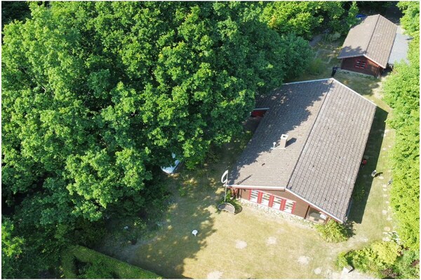 Foto van Bos en strand || Altenhof - Vakantiehuis in Altenhof - Untagged