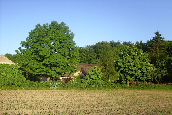 Foto van Bosbouwhuis Felsenrade - Vakantiehuis in Groß Wittensee - Untagged