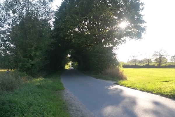 Foto van Bosbouwhuis Felsenrade - Vakantiehuis in Groß Wittensee - Untagged