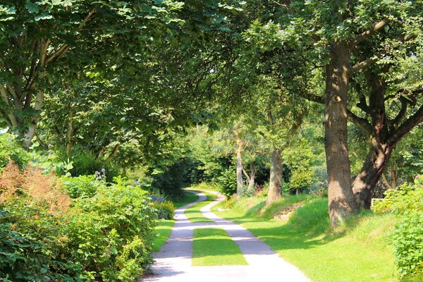Foto van Bosbouwhuis Felsenrade - Vakantiehuis in Groß Wittensee - Untagged