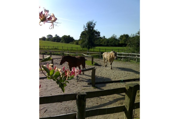 Foto van Boerderij in Boren met zwembad - Vakantiehuis in Boren - Untagged