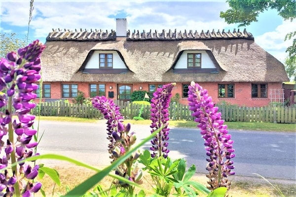 Foto van Vakantiehuis in  - Vakantiehuis in  - Untagged