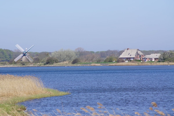Foto van Vakantiehuis in  - Vakantiehuis in  - Untagged