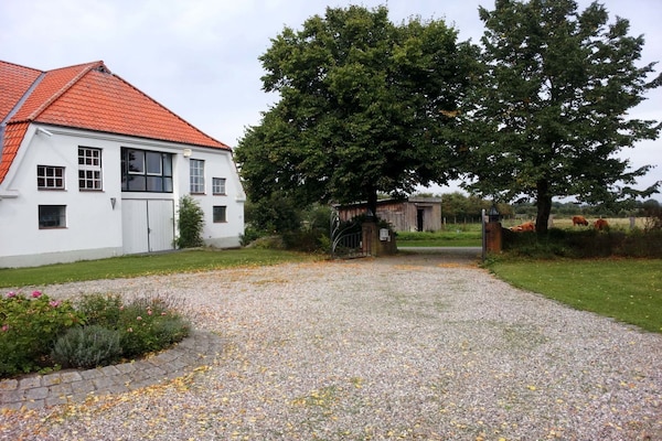Foto van Vakantiehuis in  - Vakantiehuis in  - Untagged