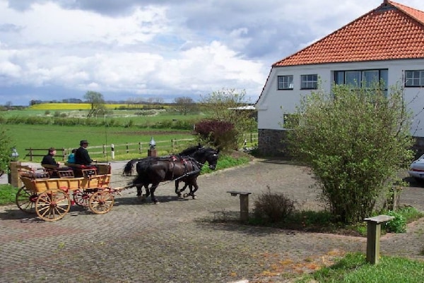 Foto van Vakantiehuis in  - Vakantiehuis in  - Untagged