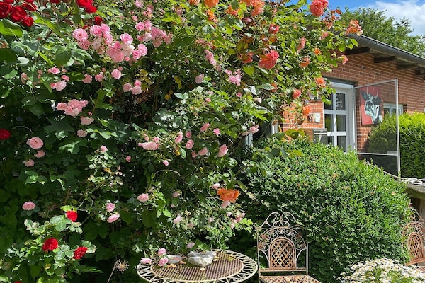 Foto van Vakantiehuis in  - Vakantiehuis in  - Untagged