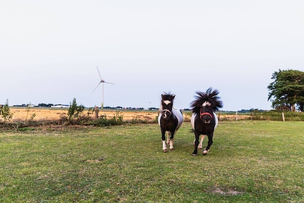 Foto van Vakantiehuis in  - Vakantiehuis in  - Untagged