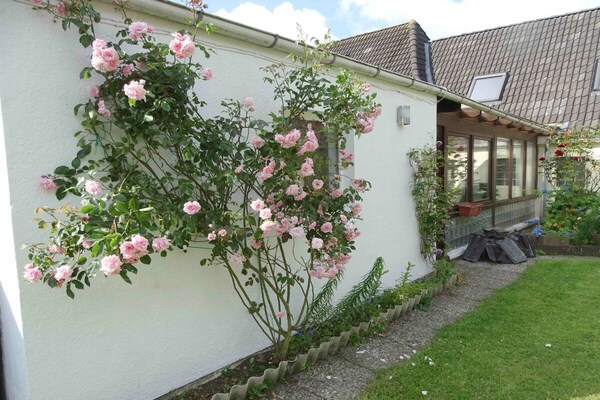 Foto van Vakantiehuis in  - Vakantiehuis in  - Untagged