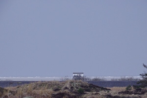 Foto van Bio-appartement Zwarte Den - Vakantiehuis in St. Peter-Ording - Untagged