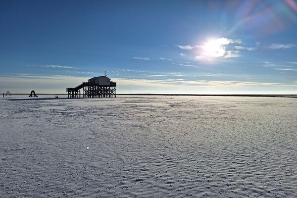 Foto van Bio-appartement Zwarte Den - Vakantiehuis in St. Peter-Ording - Untagged