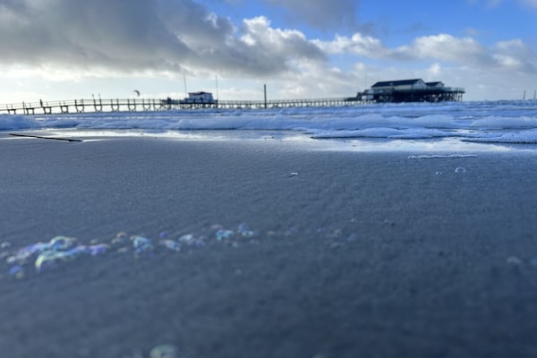 Foto van Biologisch appartement strandgras - Vakantiehuis in St. Peter-Ording - Untagged