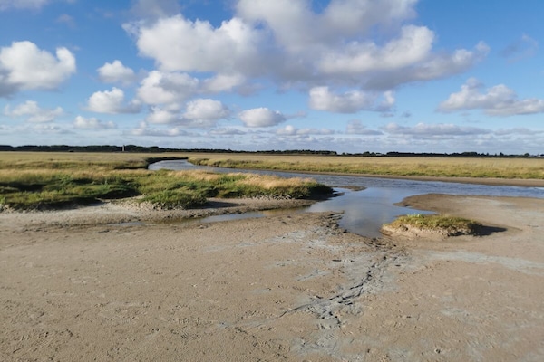 Foto van Biologisch appartement Silvergrass - Vakantiehuis in St. Peter-Ording - Untagged