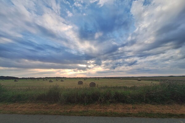Foto van Biologisch appartement Silvergrass - Vakantiehuis in St. Peter-Ording - Untagged