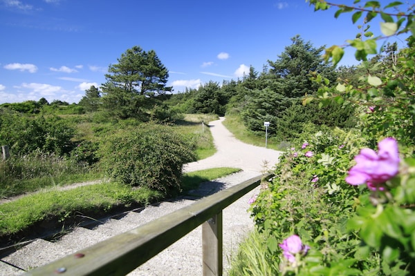Foto van Besteld Diek nr. 4 - Vakantiehuis in St. Peter-Ording - Untagged