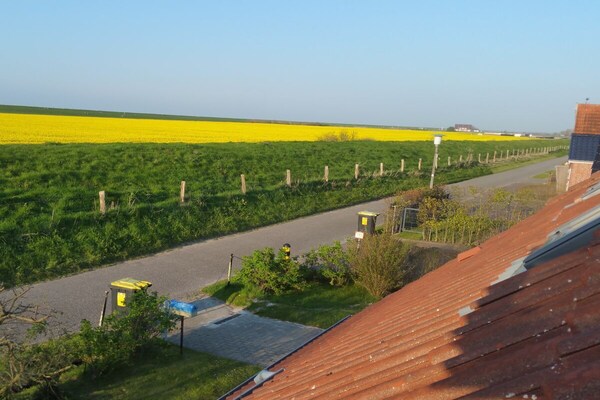 Foto van Bi Antje van Achterndiek - Vakantiehuis in Neßmersiel - Untagged