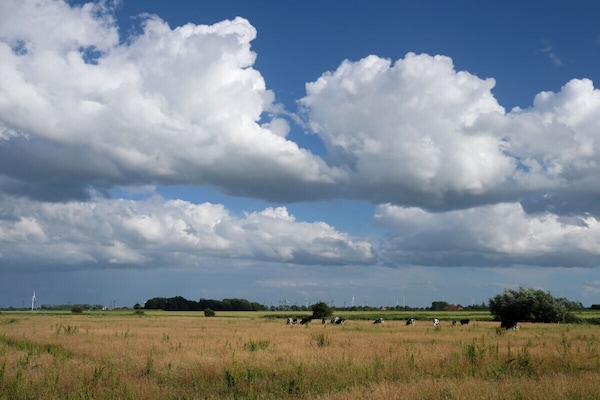 Foto van Vakantiehuis in  - Vakantiehuis in  - Untagged