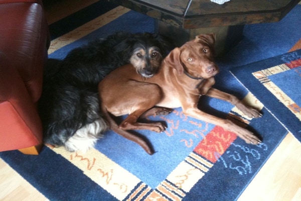 Foto van Vakantiehuis in  - Vakantiehuis in  - Untagged