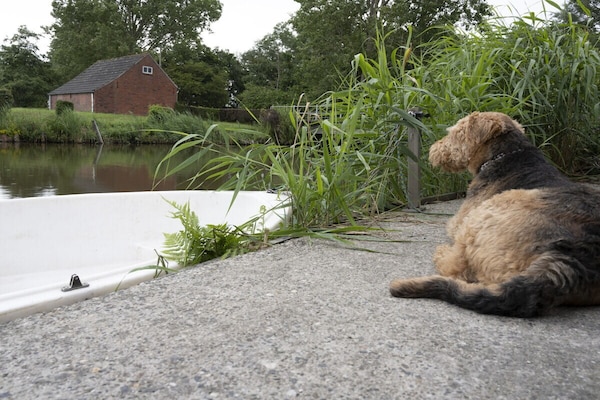 Foto van Vakantiehuis in  - Vakantiehuis in  - Untagged