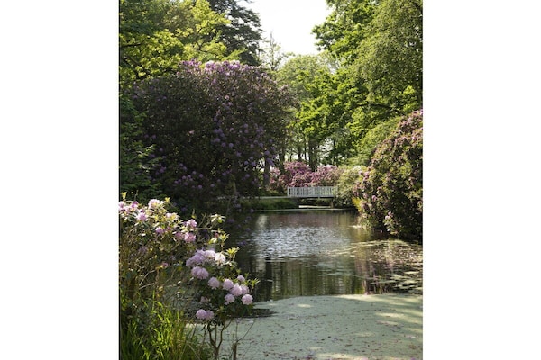 Foto van Vakantiehuis in  - Vakantiehuis in  - Untagged