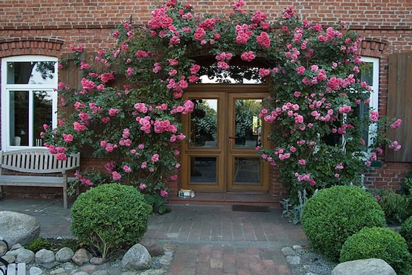 Foto van Vakantiehuis in  - Vakantiehuis in  - Untagged
