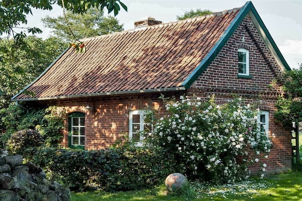 Foto van Vakantiehuis in  - Vakantiehuis in  - Untagged
