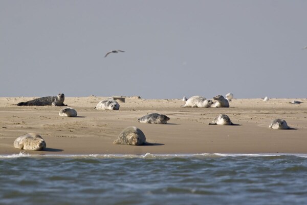 Foto van 11 in Villa Meeresblau - Vakantiehuis in Cuxhaven - Untagged