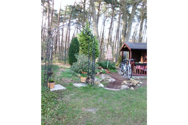 Foto van Blokhut Blueberry in Heide - Vakantiehuis in Neuenkirchen - Untagged